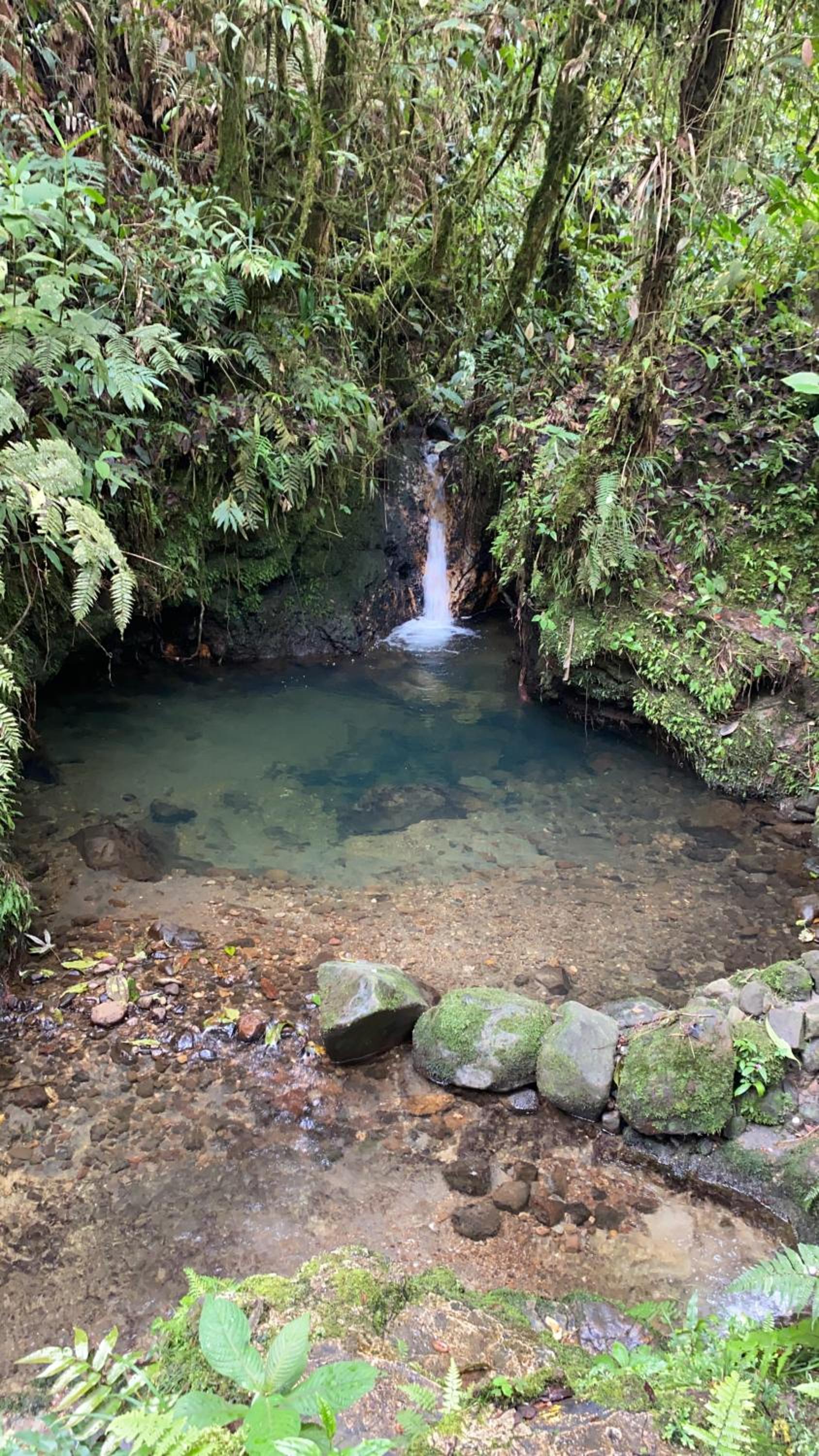 Boskoso Forest Retreat Jacuzzi & Waterfall