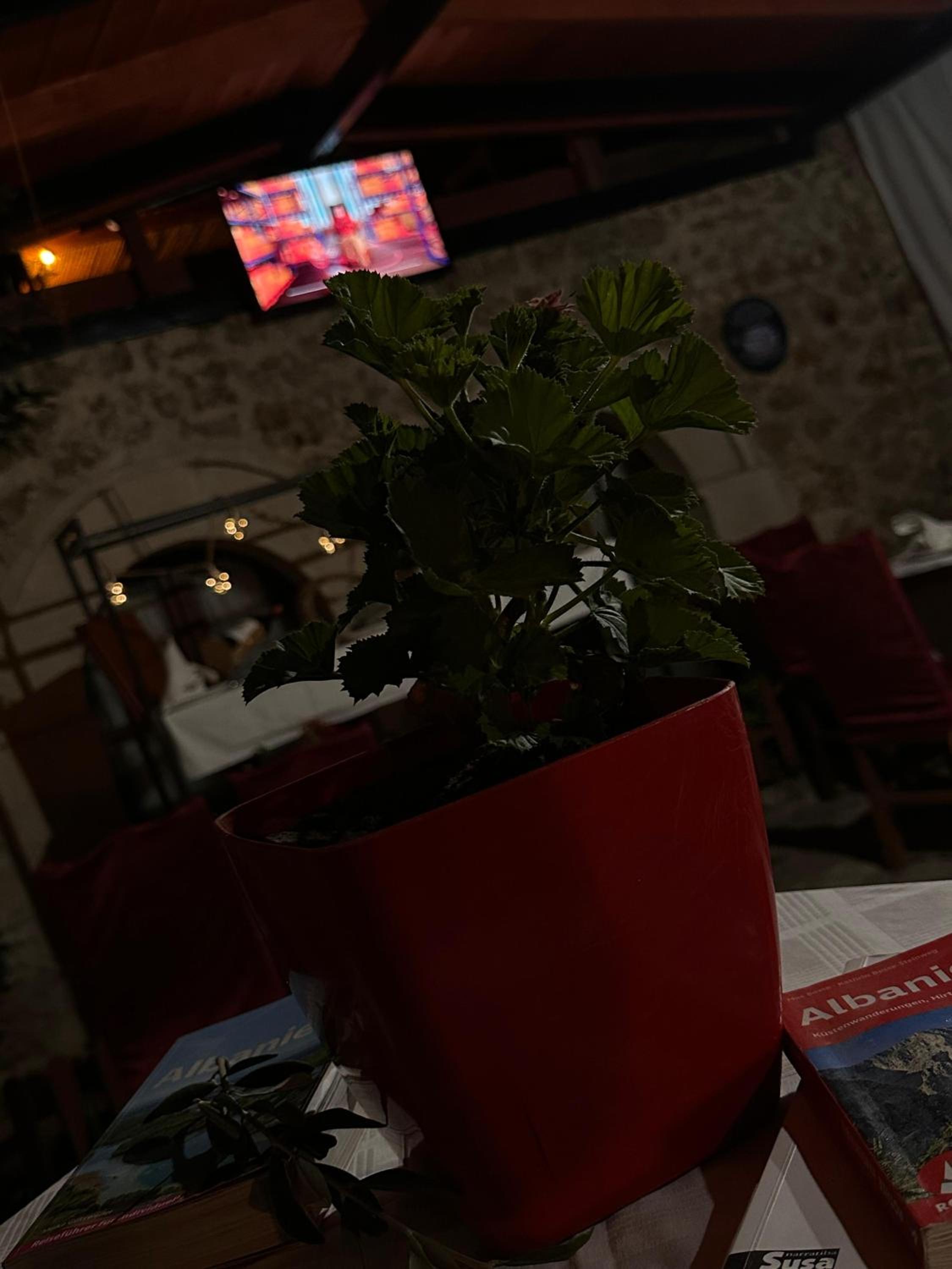 Rooms Merlika -Inside the Castle-