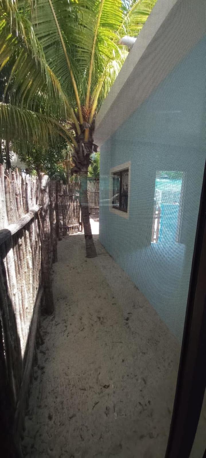casa luna azul