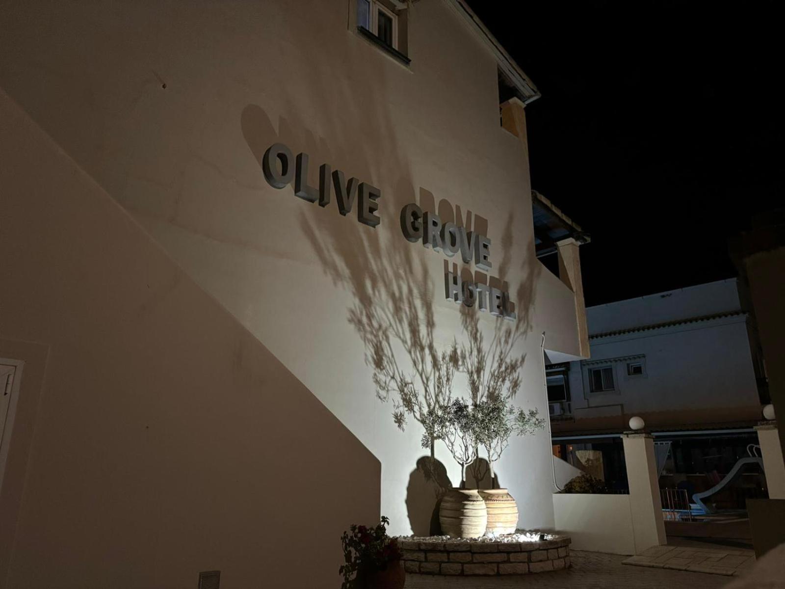 olivegrove