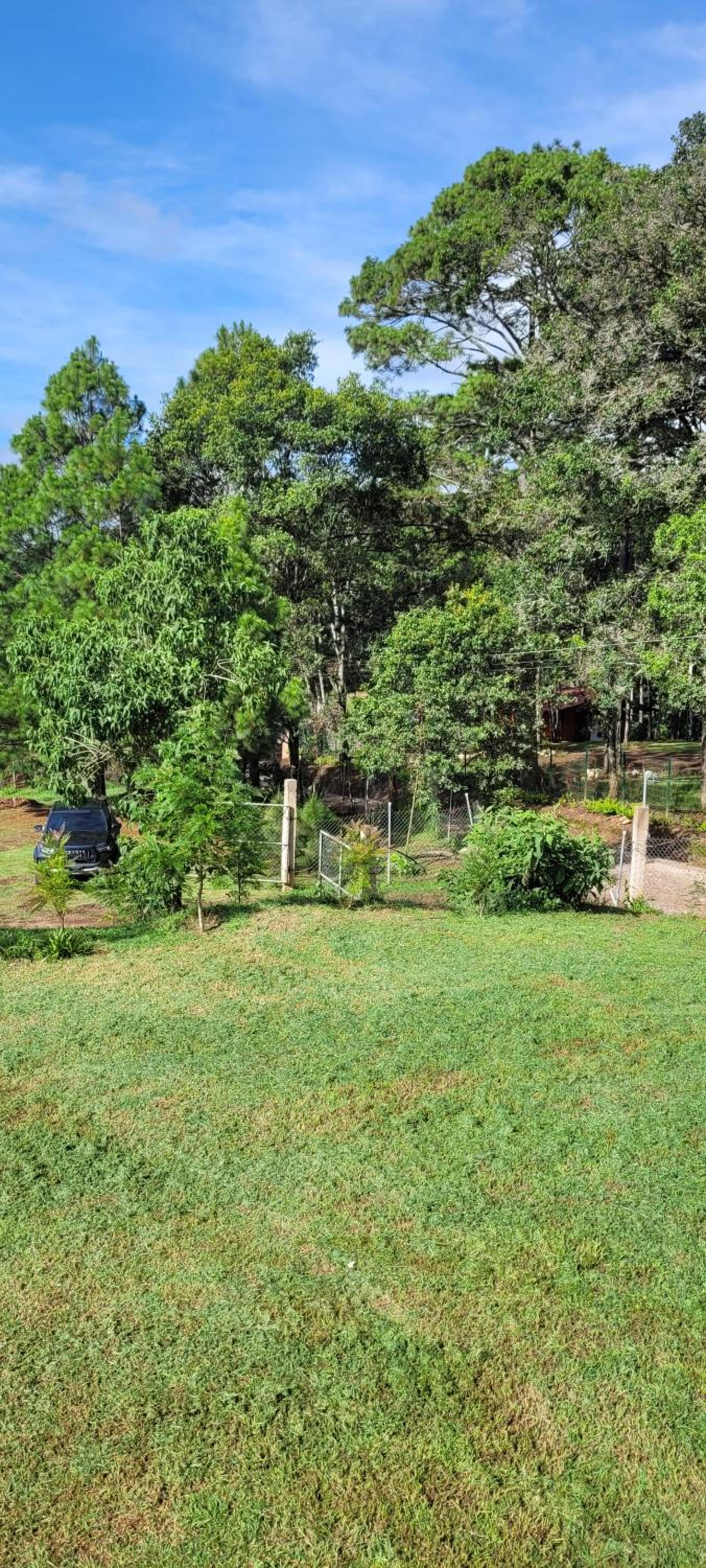 Alondra Serenity Cabin view 3