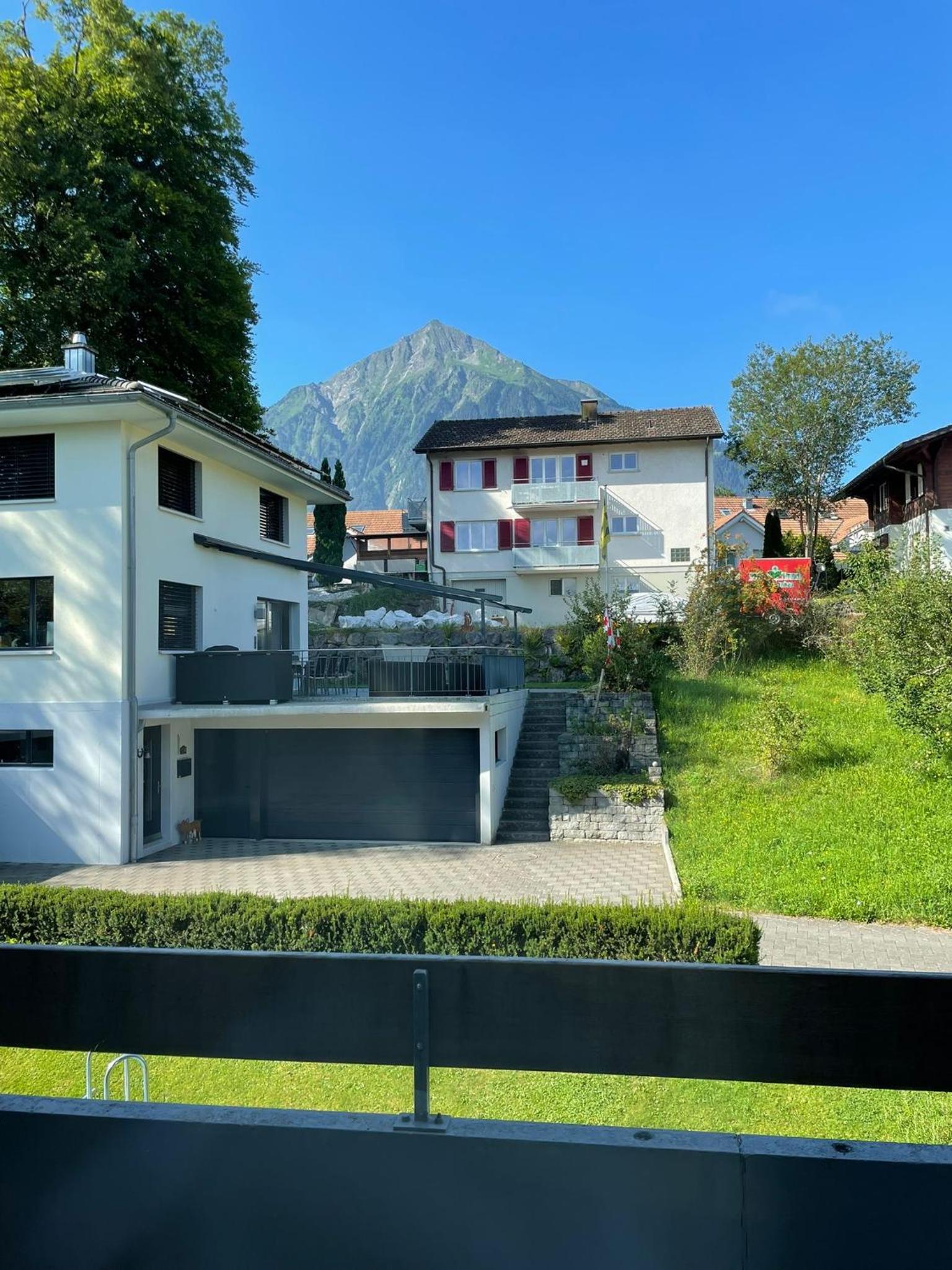 Niesenblick