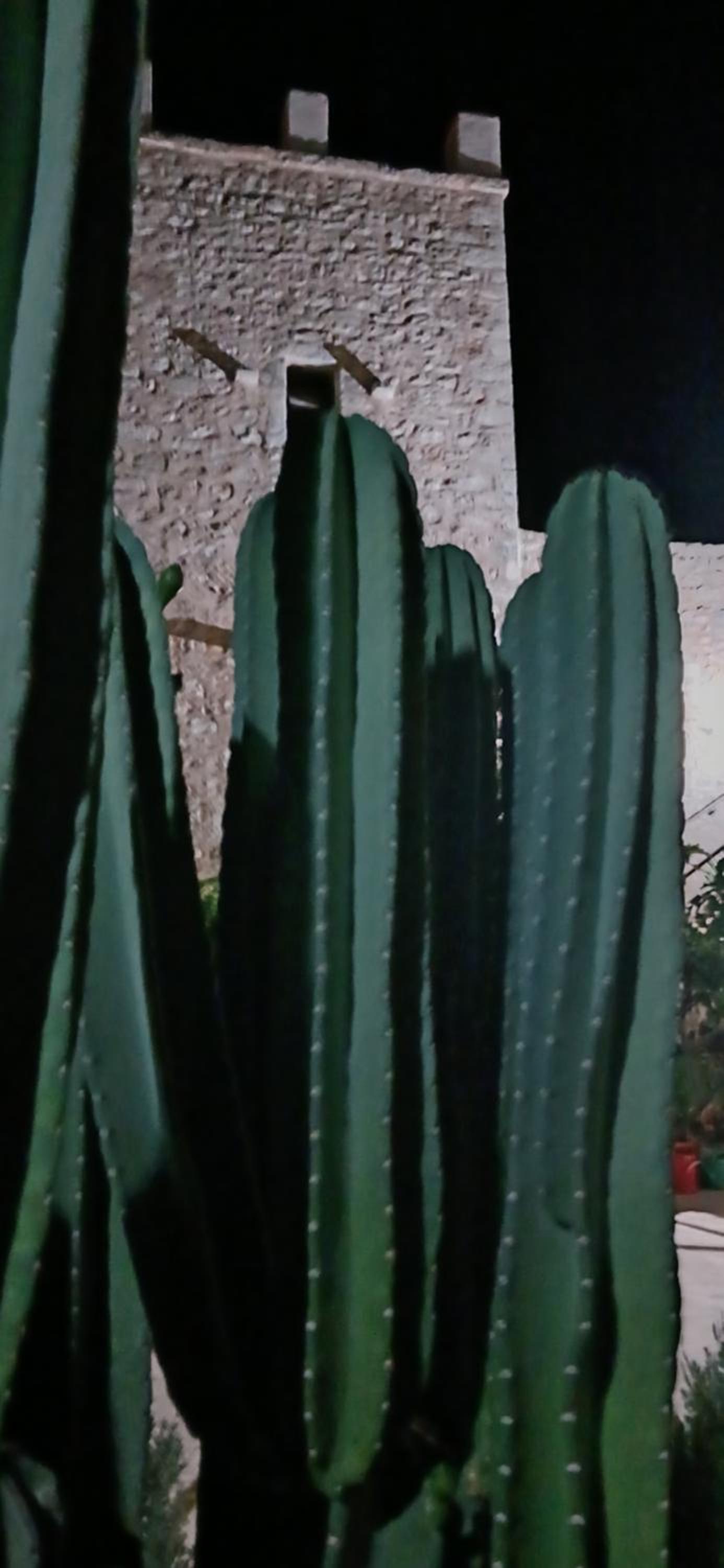 Pandera areopoli