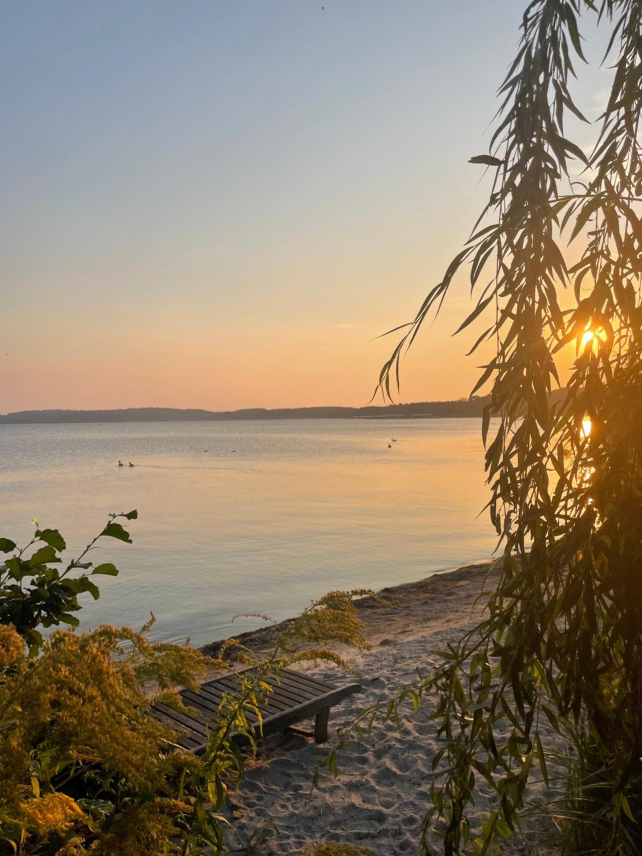 Villa Daries - Ferienwohnung mit eigenem Müritzstrand