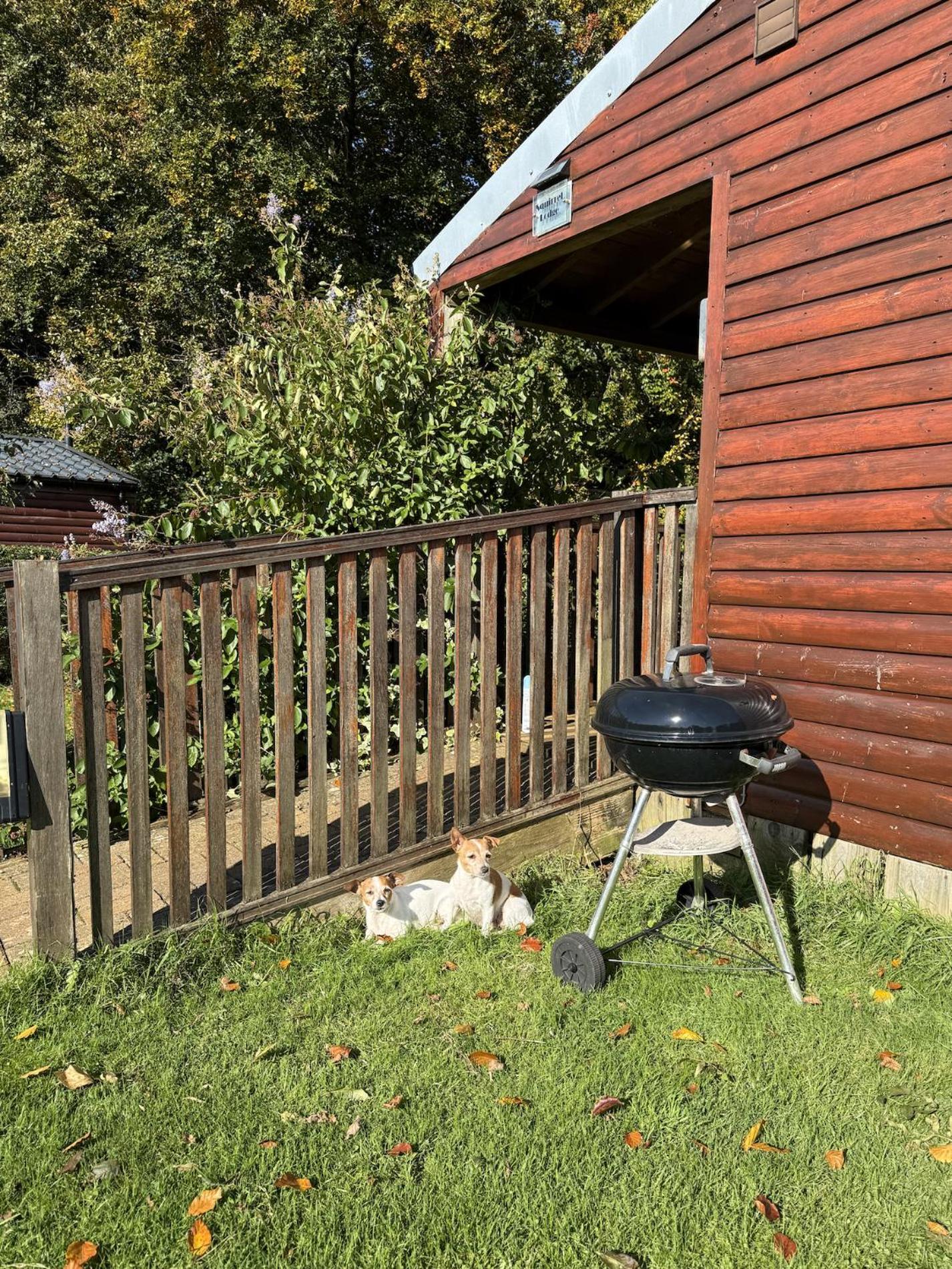 Stroud Vacations - Cherry Tree Glamping - Property Image 17