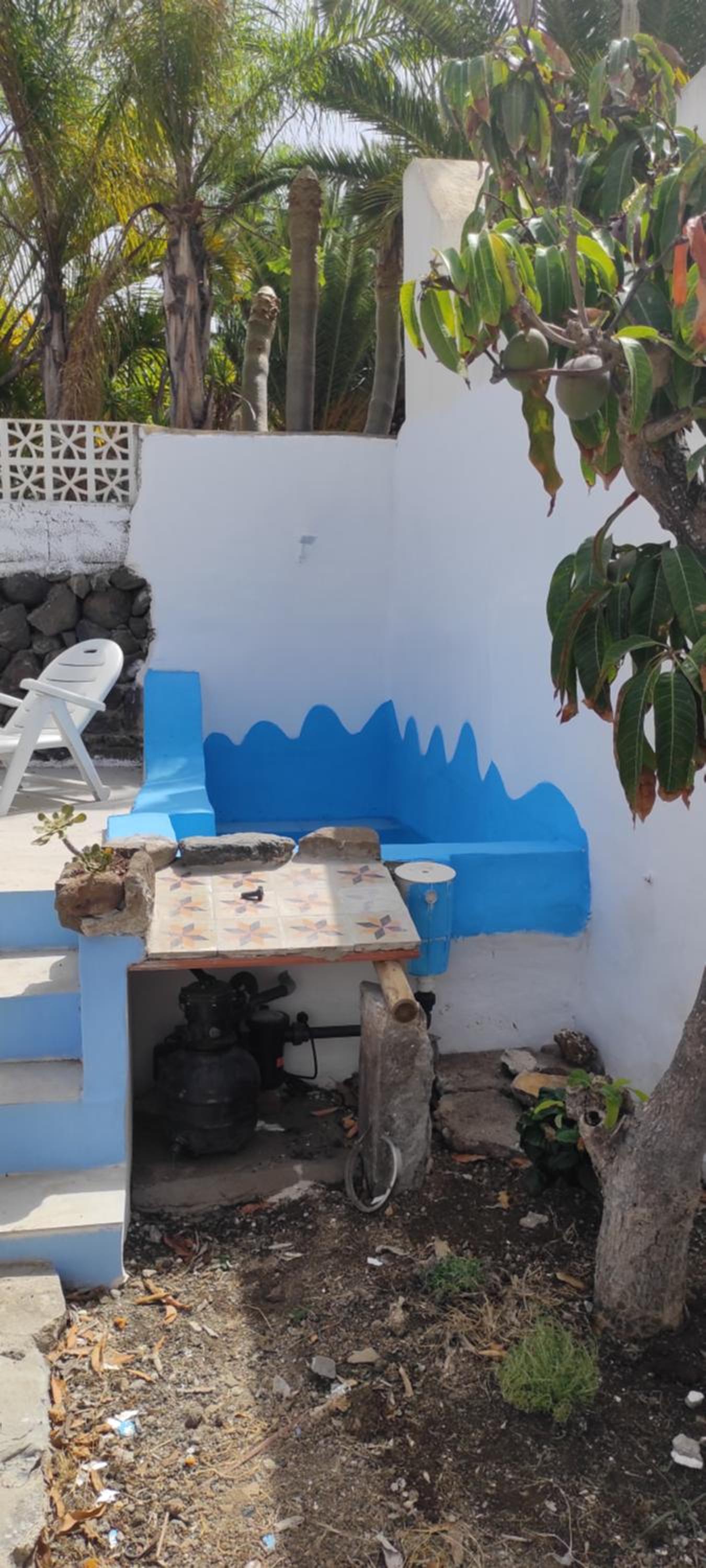 La Ballena Azul
