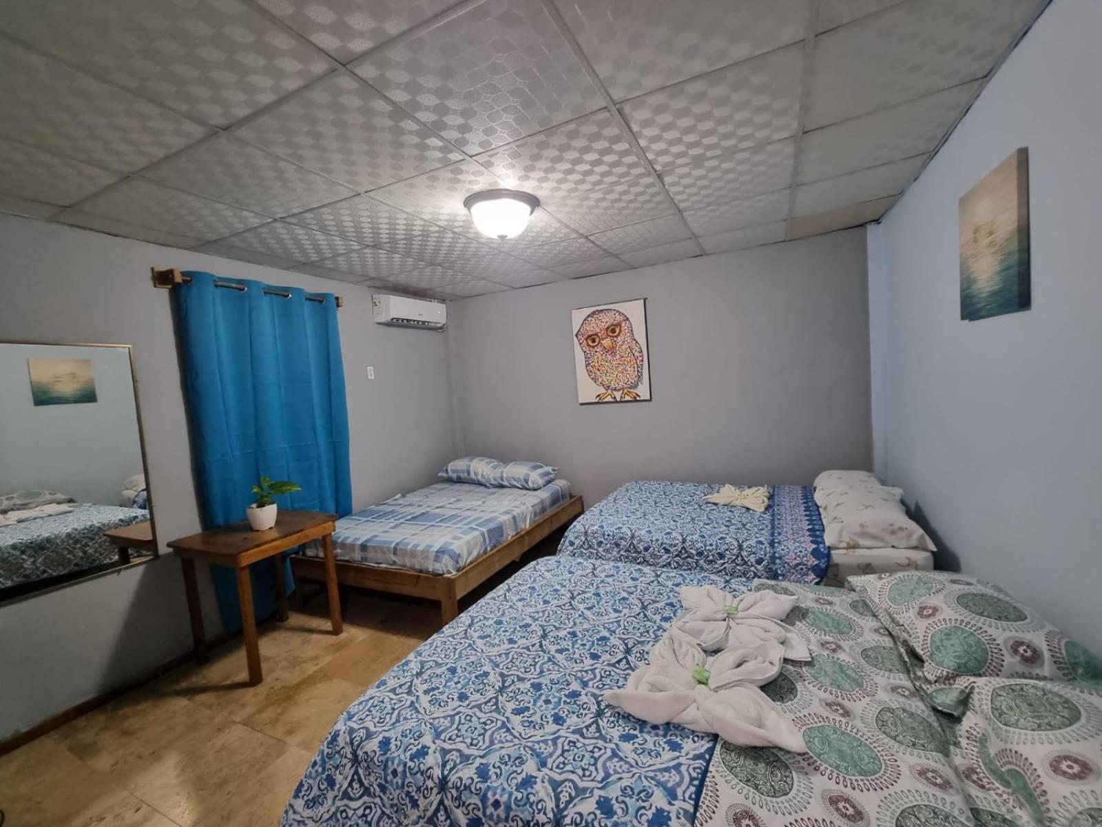 Dreamer's Hostel