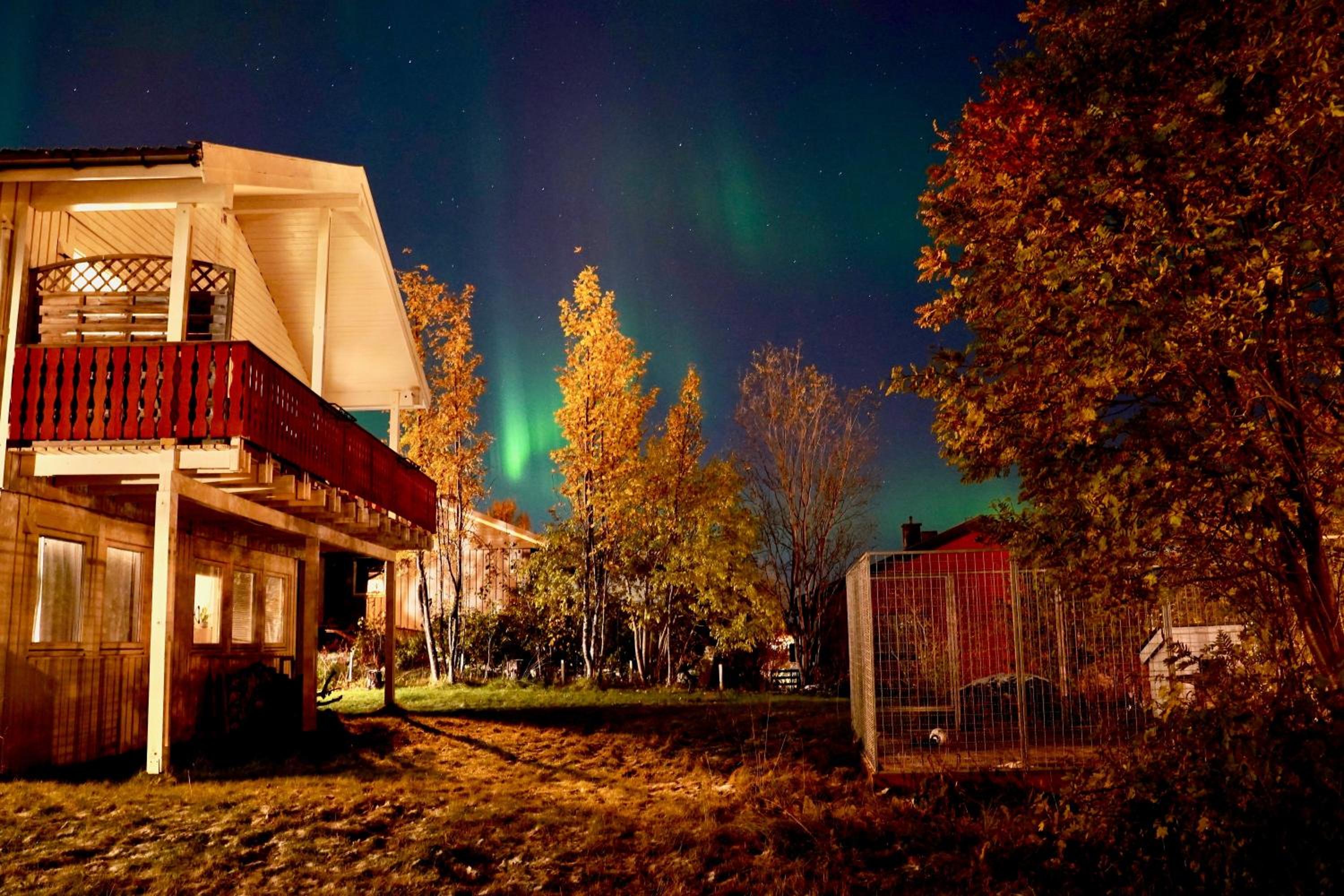 Hotel Fredelig leilighet med utsiktsplass til nordlys - Image 1
