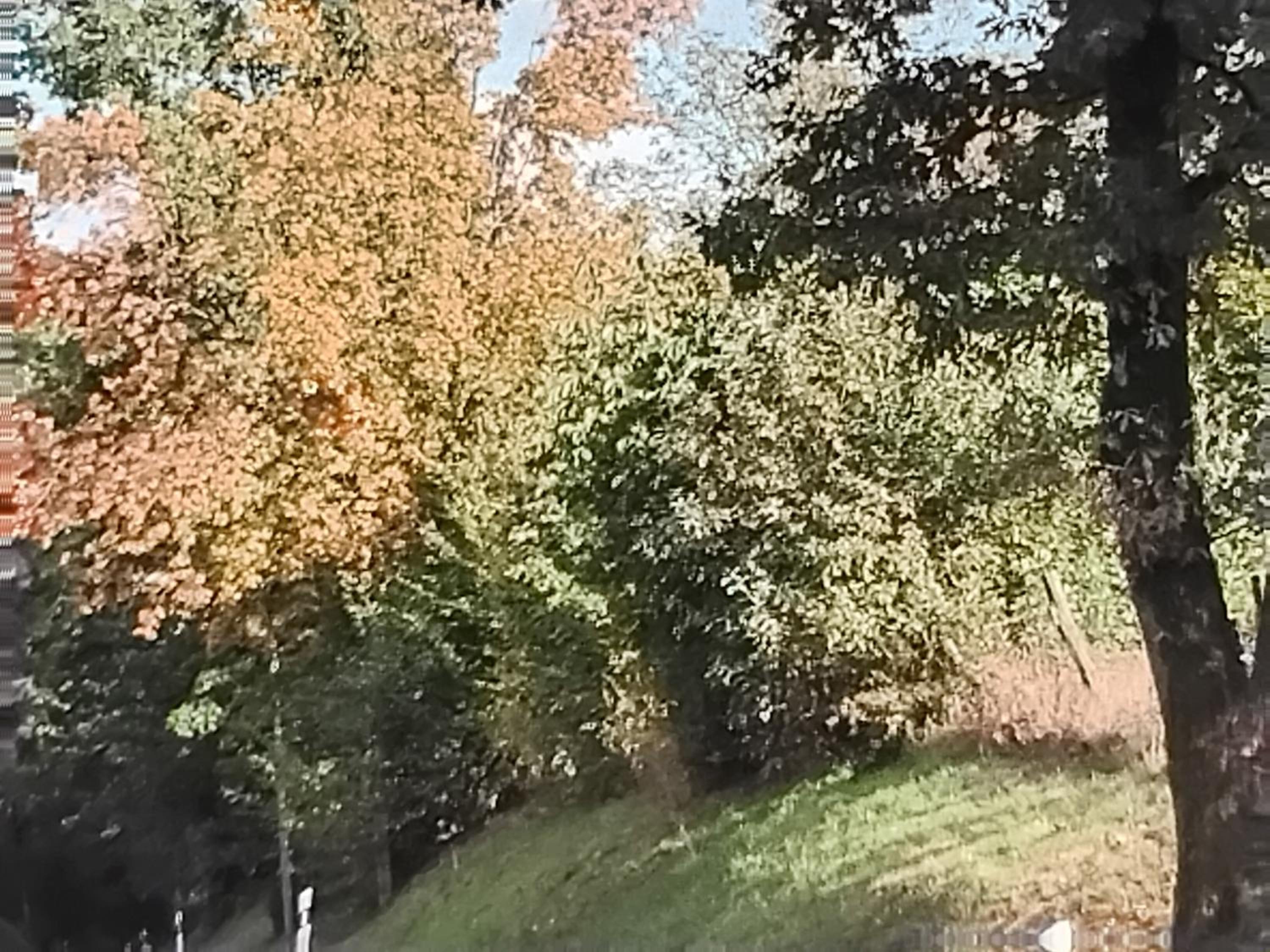 Hochwald Balkon view 4