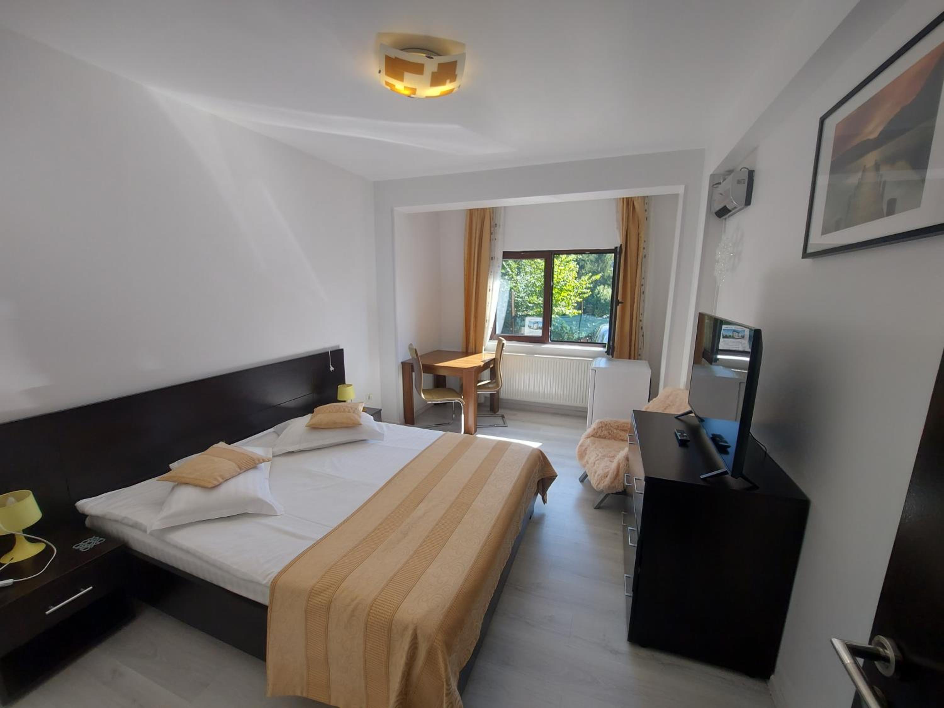 Apartament La Manastire view 5