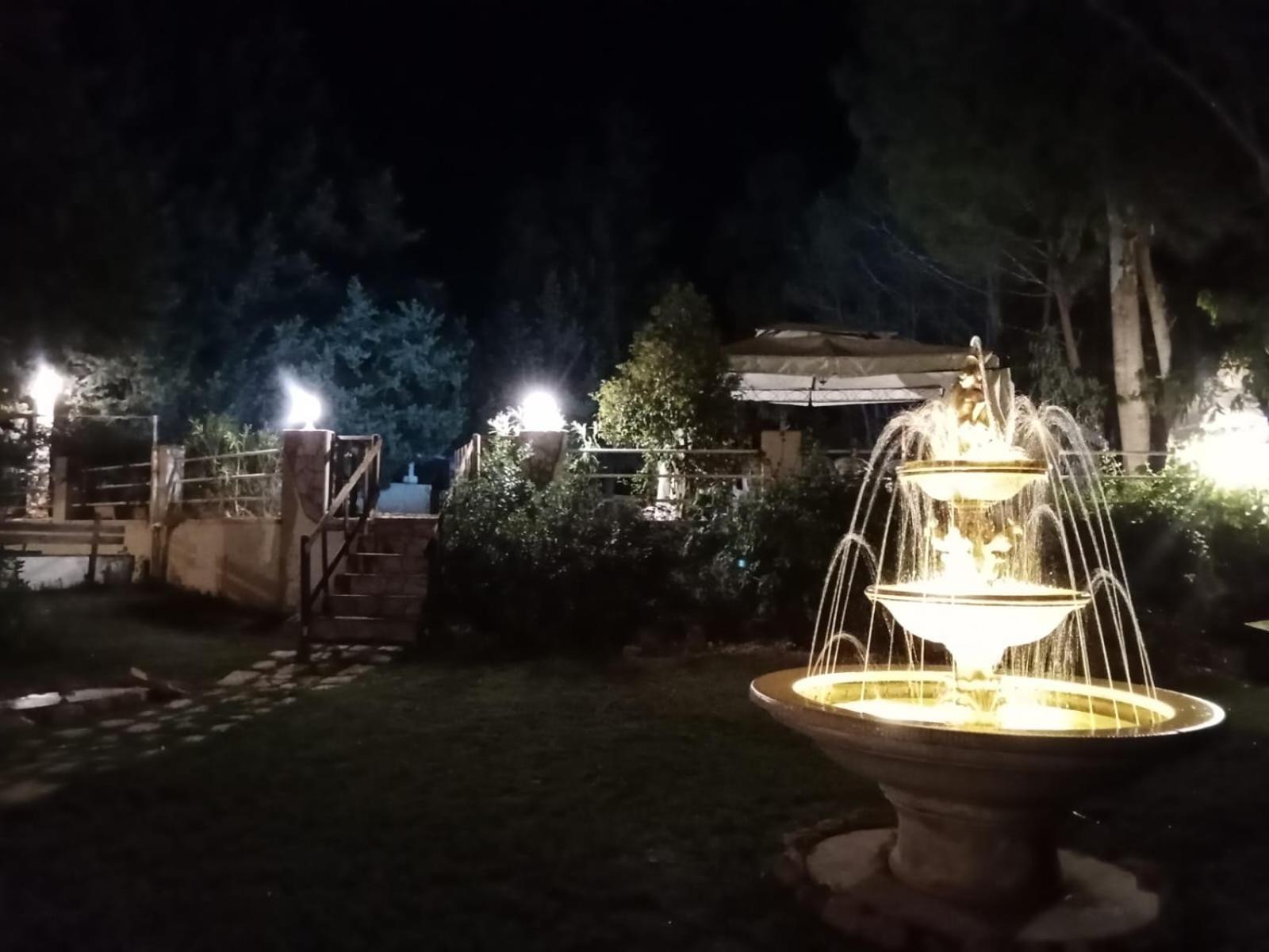 Photo 29