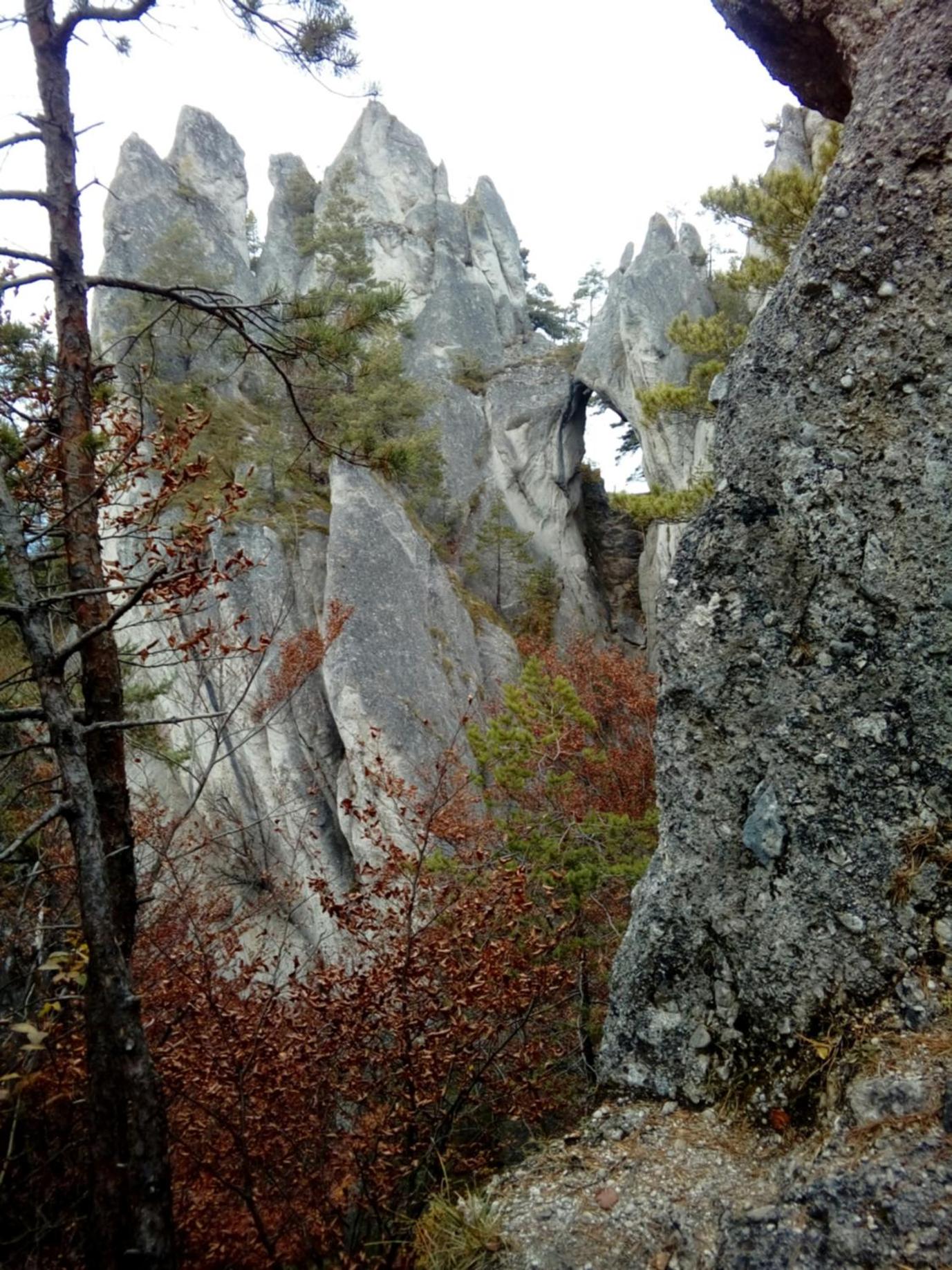 Photo 27