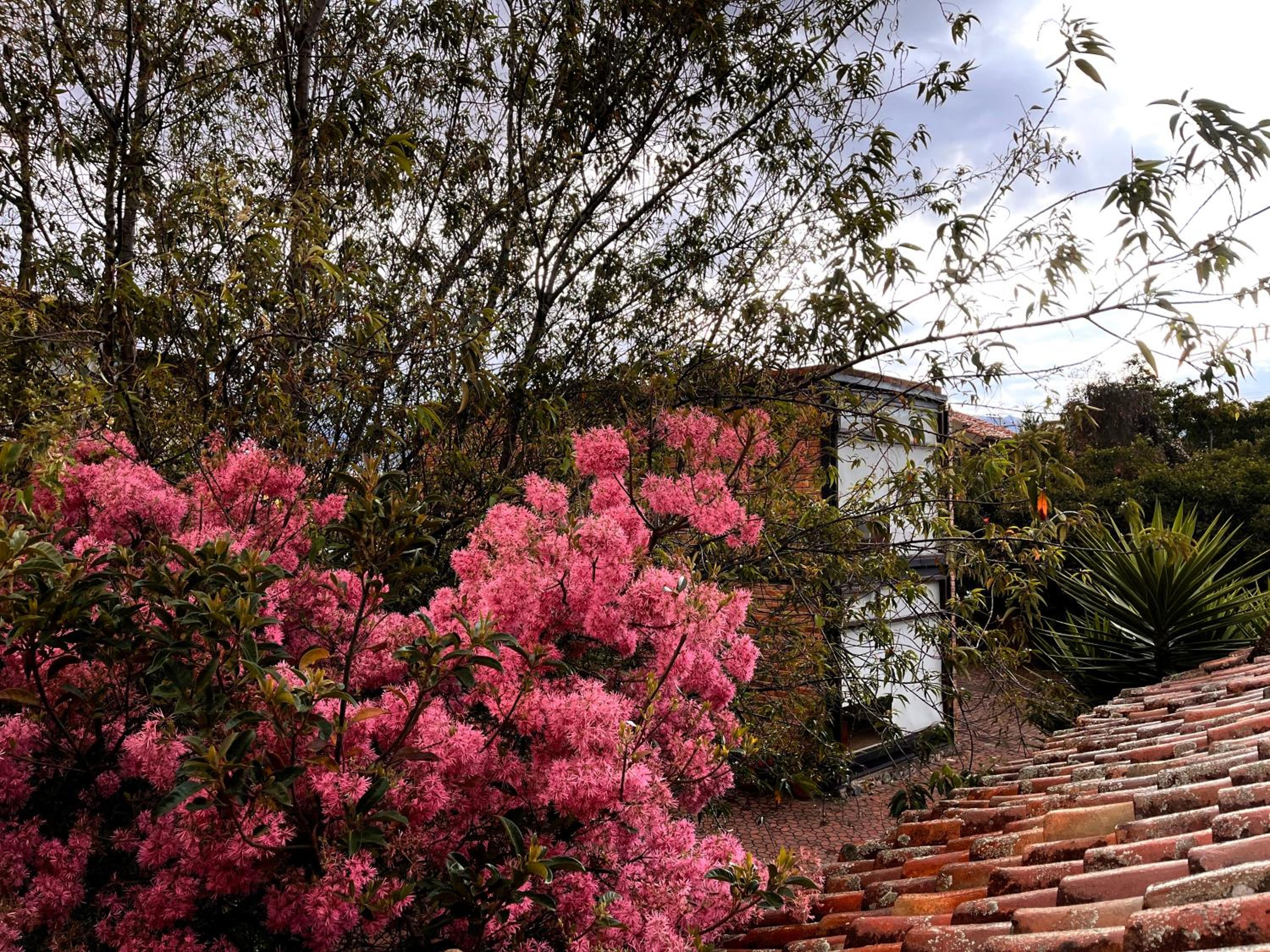 Casa Lloret view 3