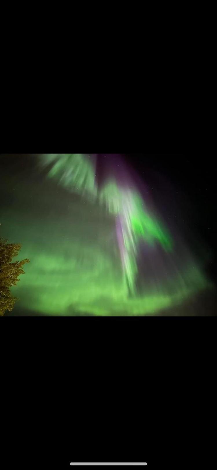 Senja