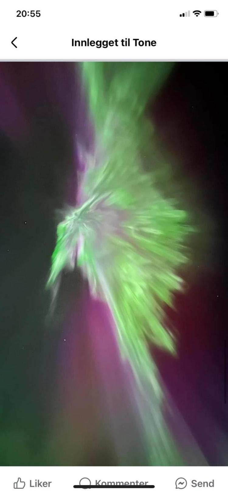 Senja