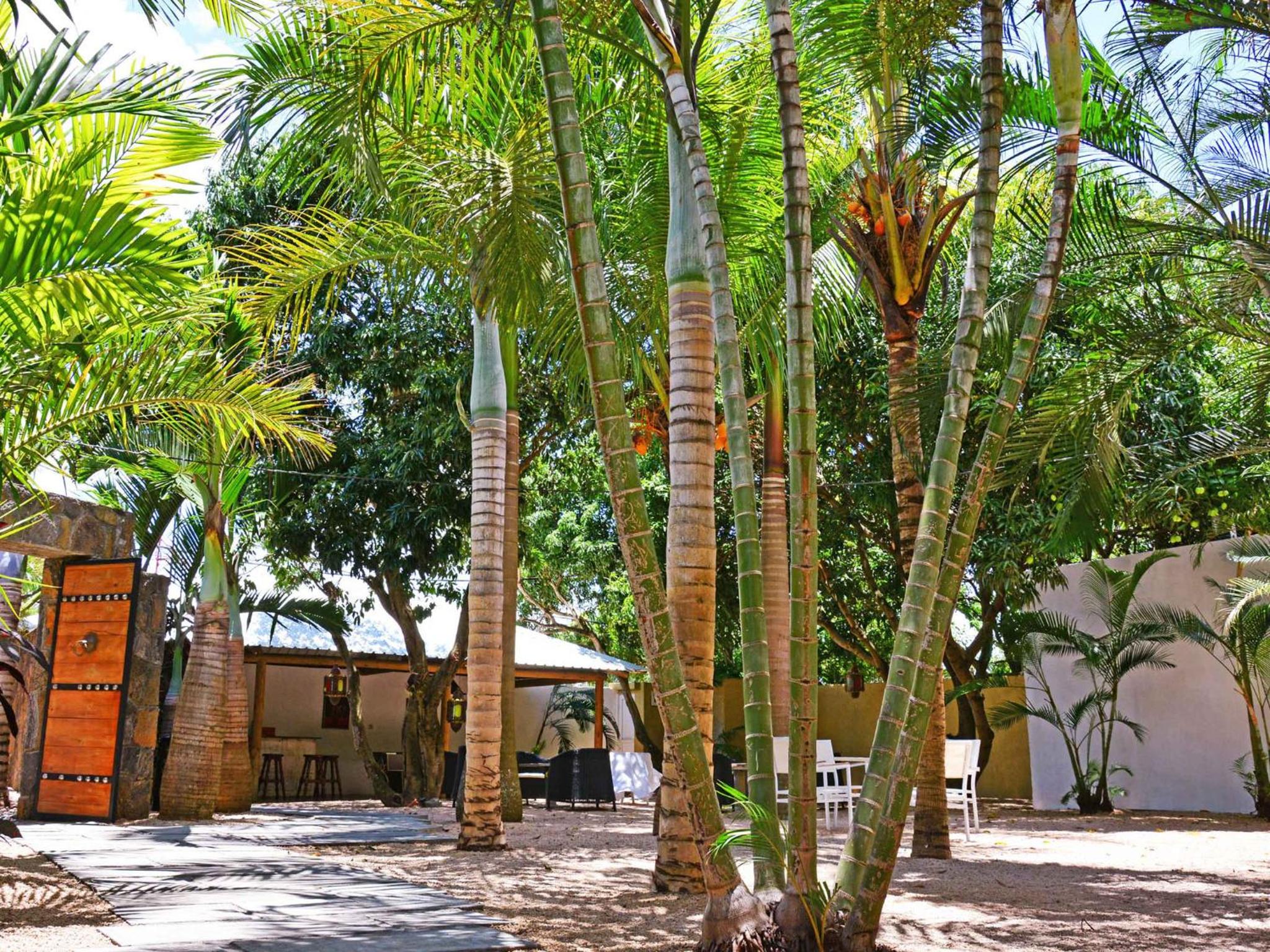 La Margarita photo 4