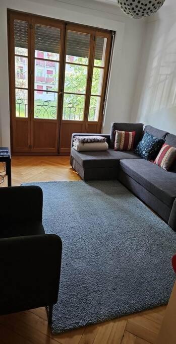 Geneva Gem Spacious Apt for 4 Inc Free bus pass