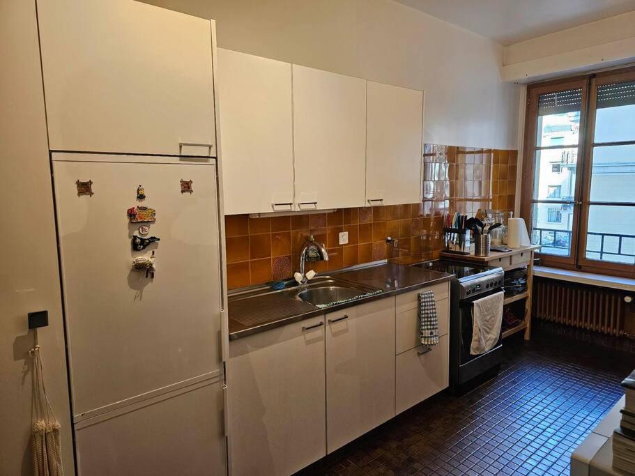 Geneva Gem Spacious Apt for 4 Inc Free bus pass