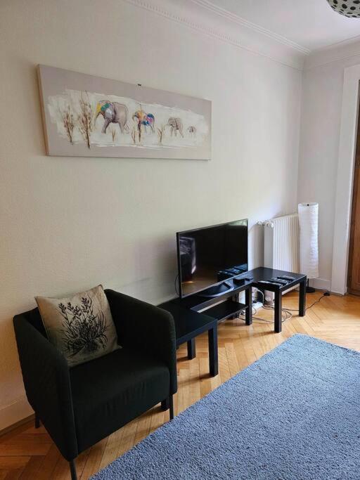 Geneva Gem Spacious Apt for 4 Inc Free bus pass