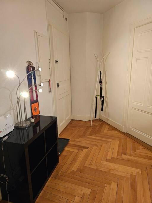 Geneva Gem Spacious Apt for 4 Inc Free bus pass