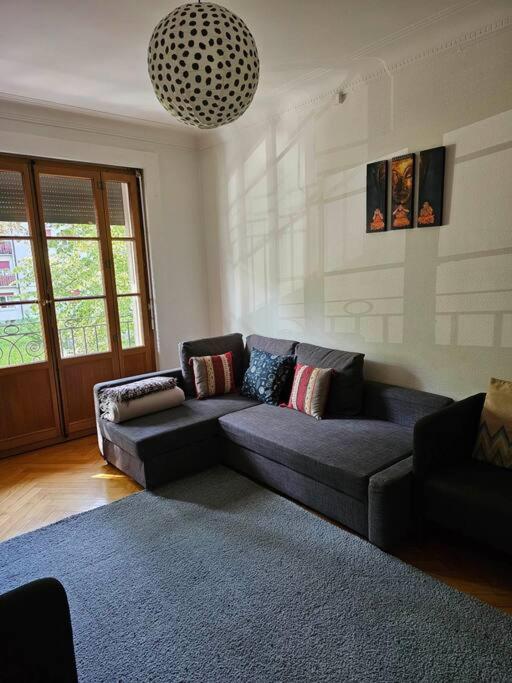 Geneva Gem Spacious Apt for 4 Inc Free bus pass