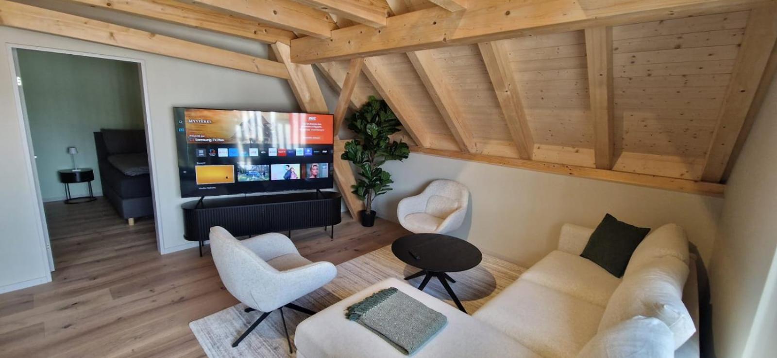 Visionary Hospitality Bassersdorf, Zürich - Premium Apartments in Swiss Style with Free Parking, Washer, Kitchen, Terrace, Vaulted Cellar Event Room, Bus S