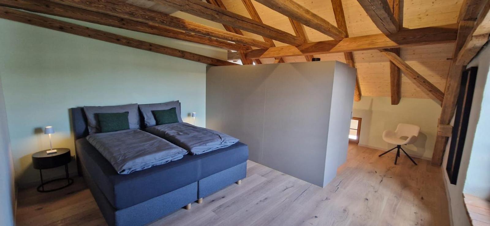 Visionary Hospitality Bassersdorf, Zürich - Premium Apartments in Swiss Style with Free Parking, Washer, Kitchen, Terrace, Vaulted Cellar Event Room, Bus S
