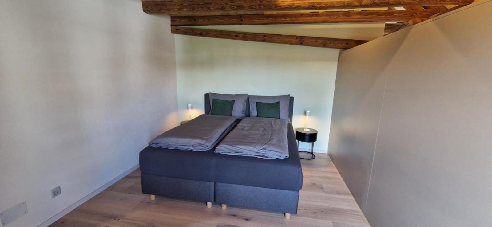 Visionary Hospitality Bassersdorf, Zürich - Premium Apartments in Swiss Style with Free Parking, Washer, Kitchen, Terrace, Vaulted Cellar Event Room, Bus S