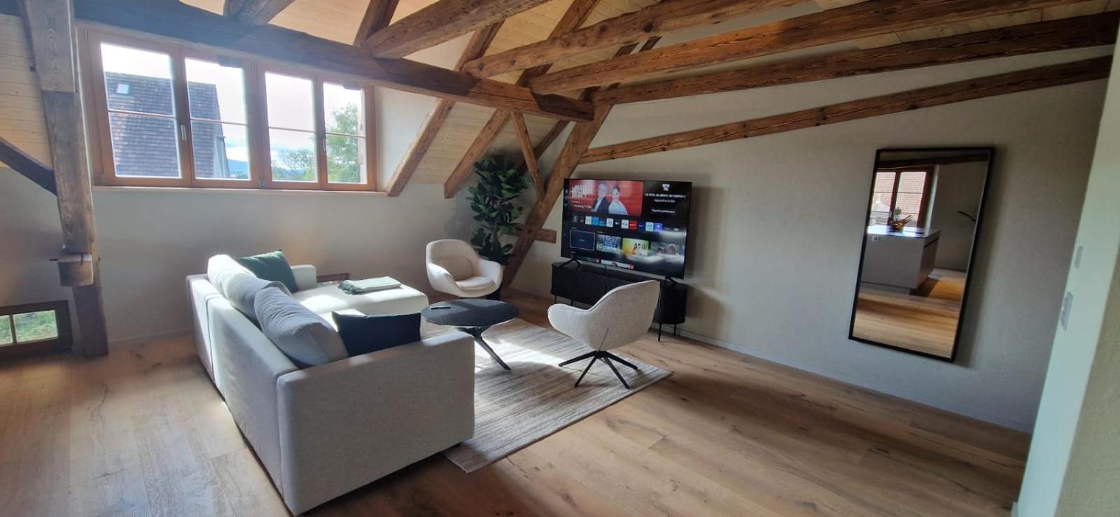 Visionary Hospitality Bassersdorf, Zürich - Premium Apartments in Swiss Style with Free Parking, Washer, Kitchen, Terrace, Vaulted Cellar Event Room, Bus S
