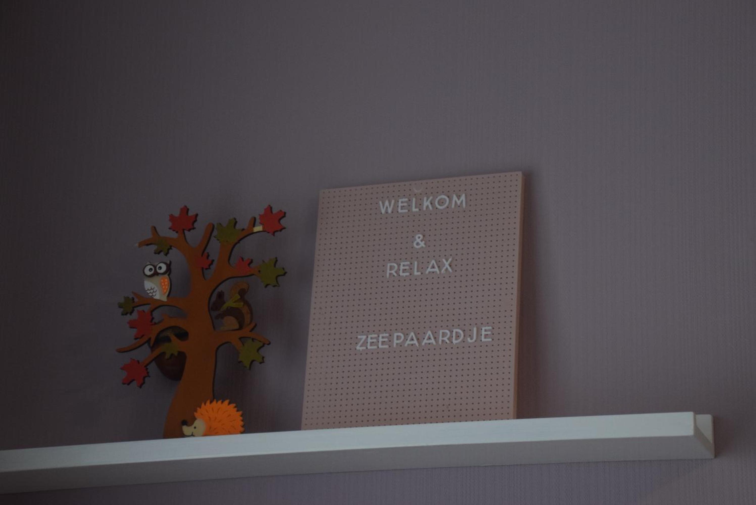 Zeepaardje