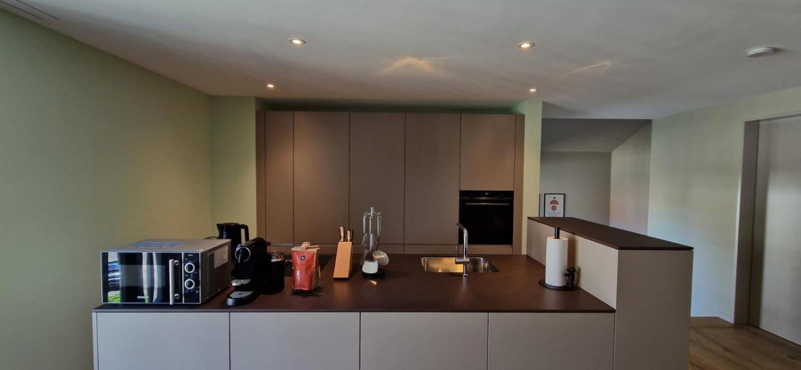 Visionary Hospitality Bassersdorf, Zürich - Premium Apartments in Swiss Style with Free Parking, Washer, Kitchen, Terrace, Vaulted Cellar Event Room, Bus S