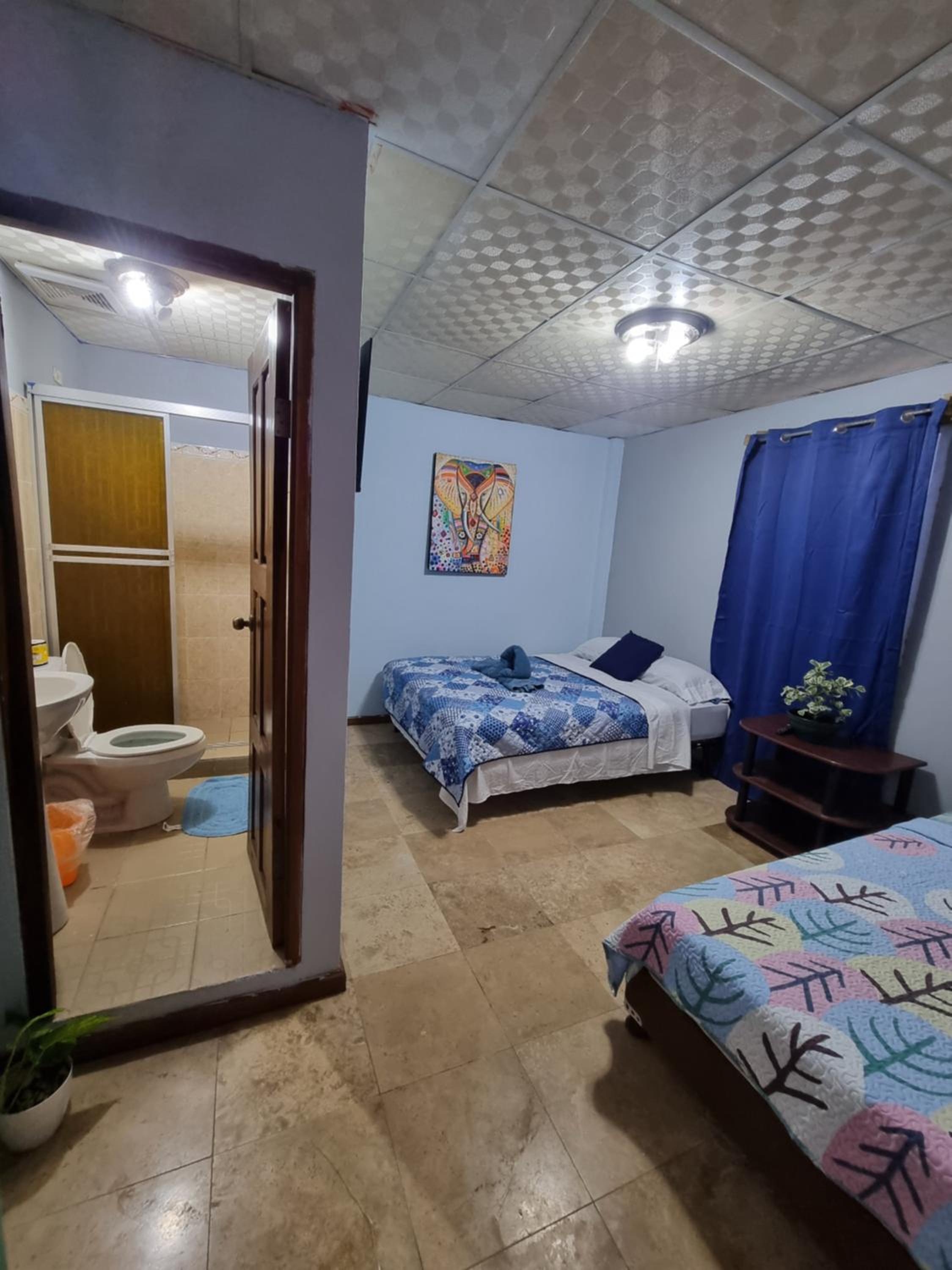 Dreamer's Hostel