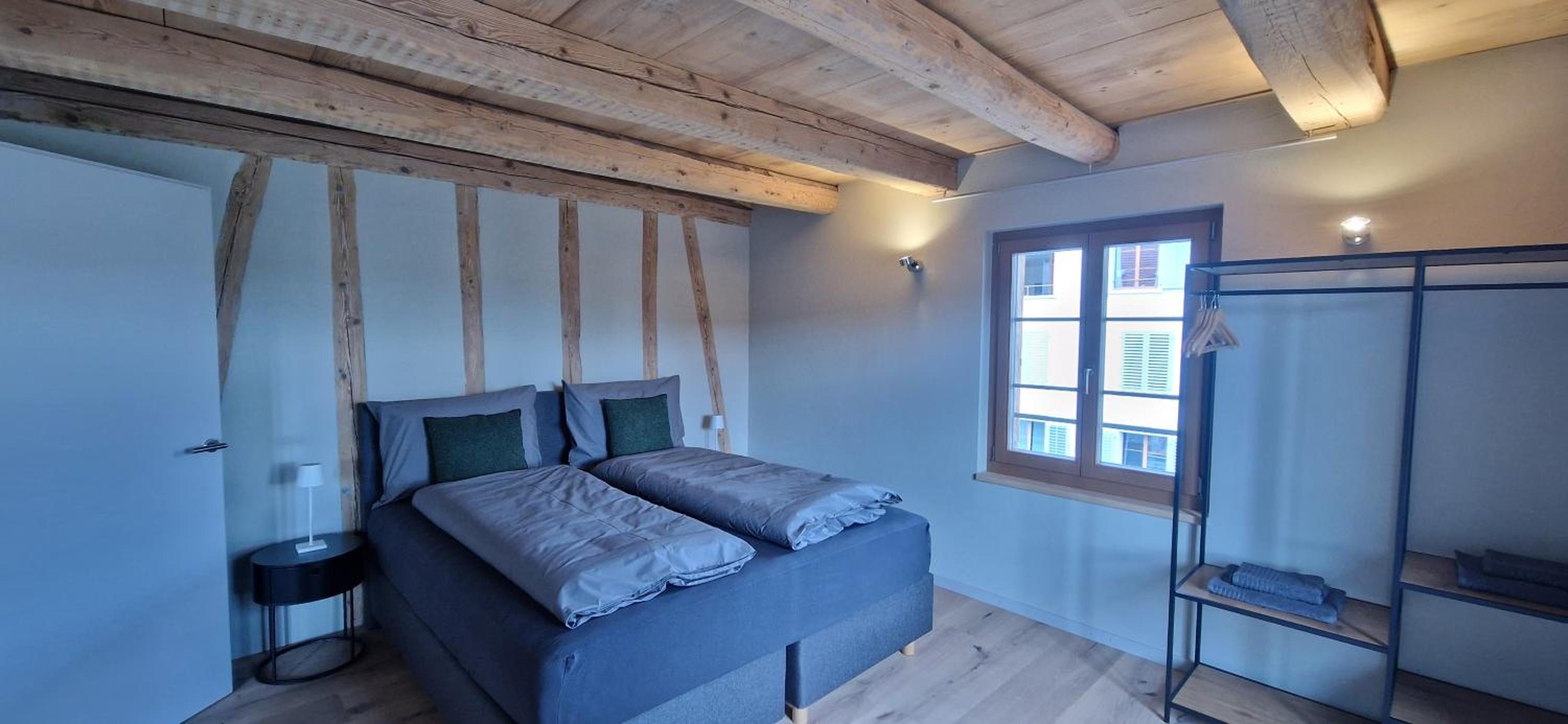 Visionary Hospitality Bassersdorf, Zürich - Premium Apartments in Swiss Style with Free Parking, Washer, Kitchen, Terrace, Vaulted Cellar Event Room, Bus S