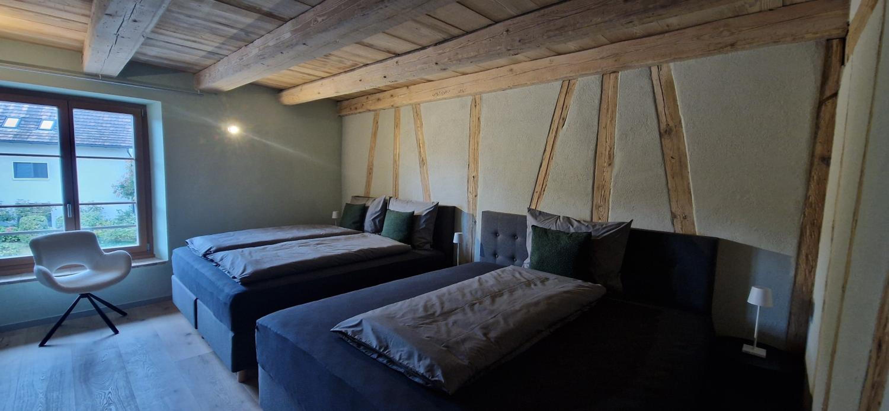 Visionary Hospitality Bassersdorf, Zürich - Premium Apartments in Swiss Style with Free Parking, Washer, Kitchen, Terrace, Vaulted Cellar Event Room, Bus S