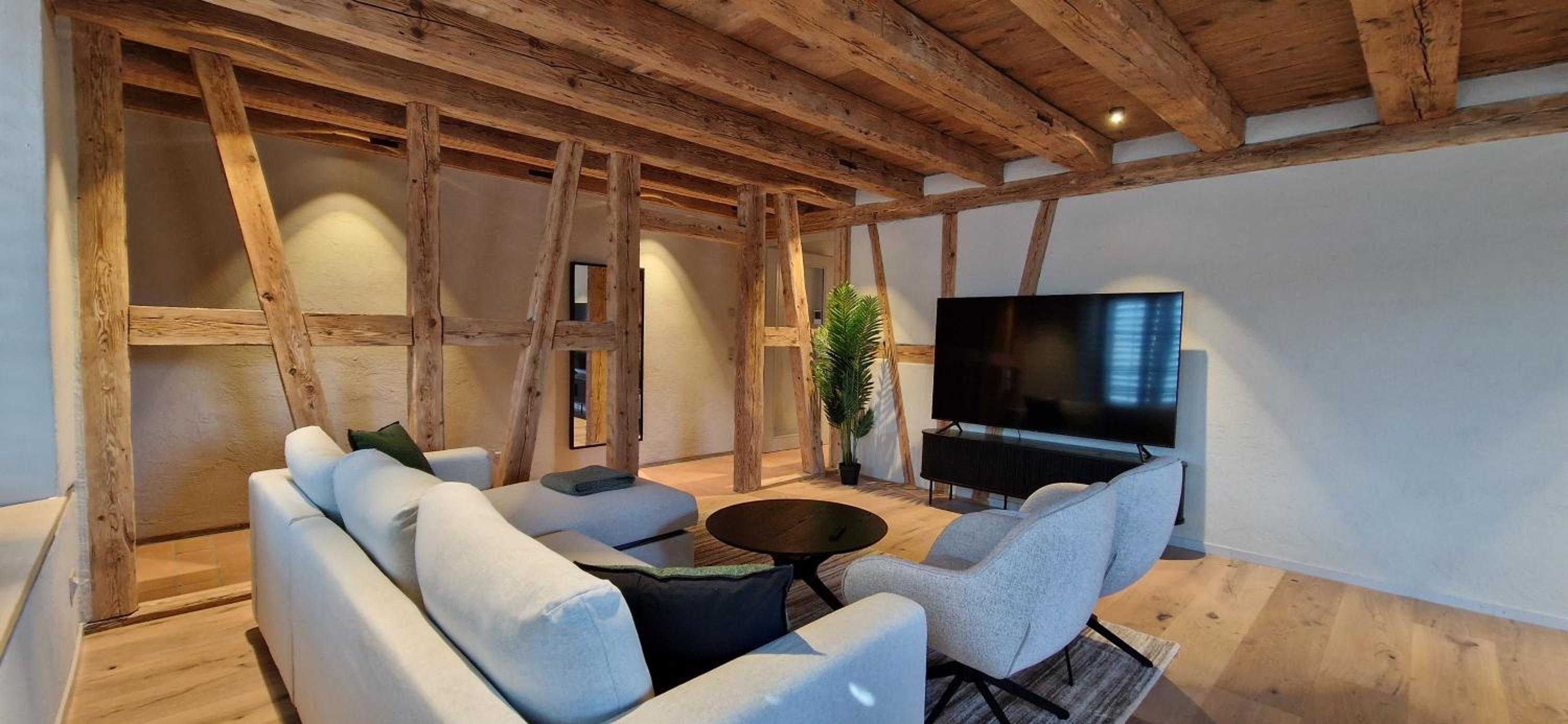 Visionary Hospitality Bassersdorf, Zürich - Premium Apartments in Swiss Style with Free Parking, Washer, Kitchen, Terrace, Vaulted Cellar Event Room, Bus S