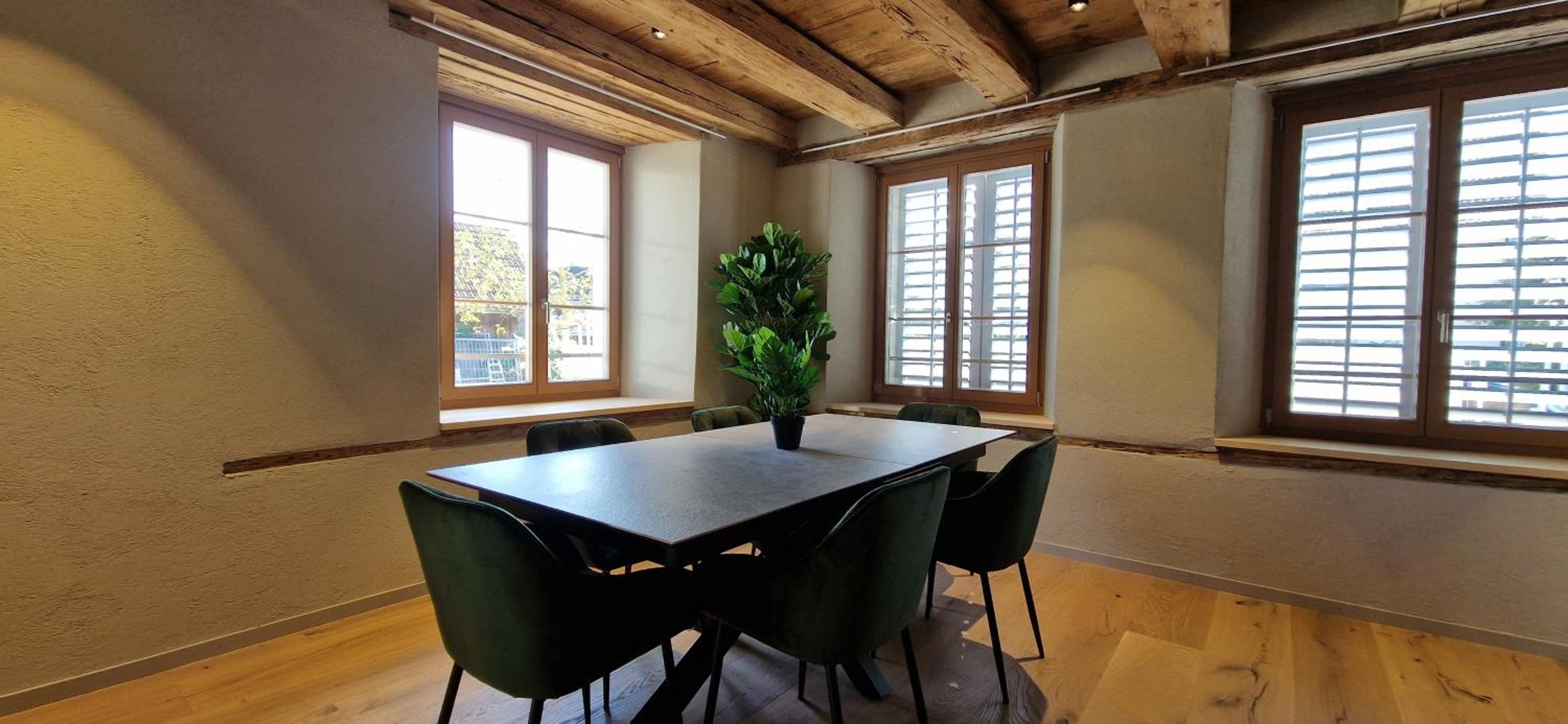 Visionary Hospitality Bassersdorf, Zürich - Premium Apartments in Swiss Style with Free Parking, Washer, Kitchen, Terrace, Vaulted Cellar Event Room, Bus S