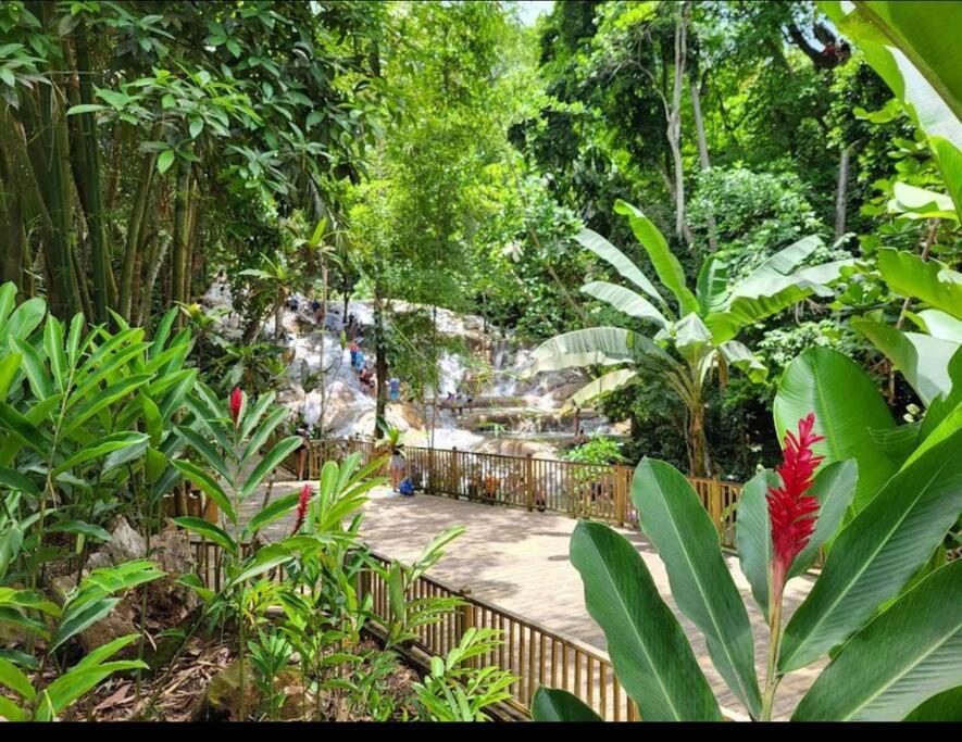 Ocho Rios Retreat view 5