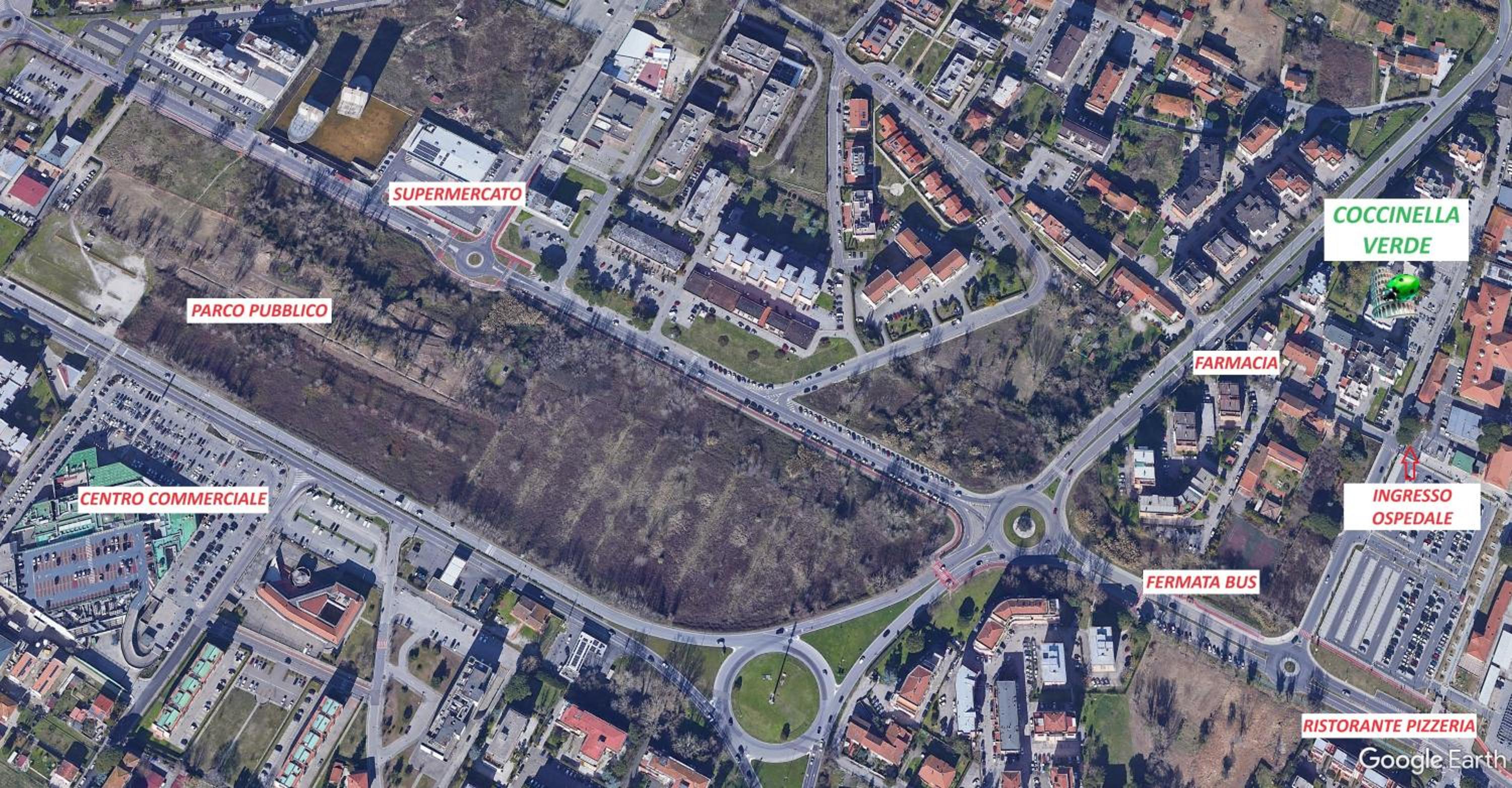 Coccinella Verde photo 5