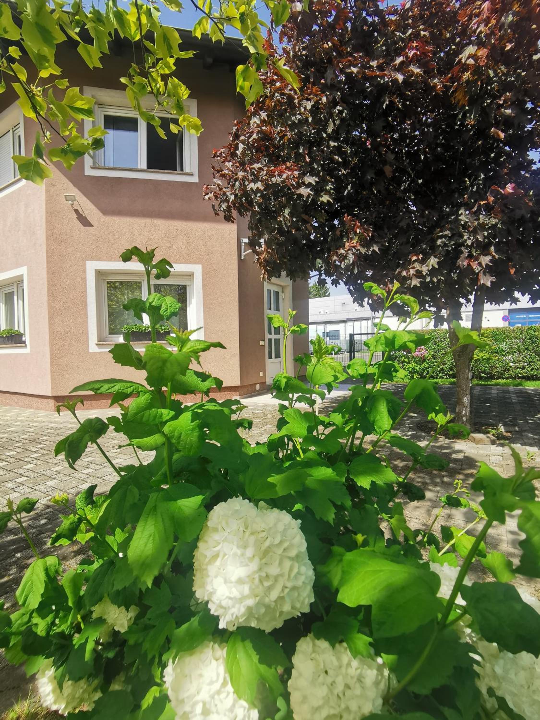 Apartmani Jastreb