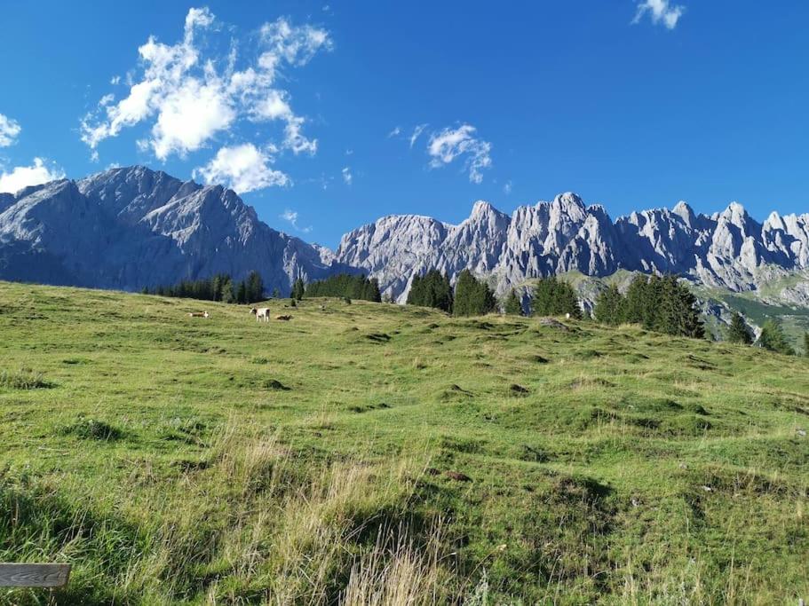 Sonnige ruhige Fewo Bergpanorama auf 1200m mit Süd Balkon