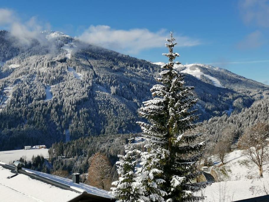 Sonnige ruhige Fewo Bergpanorama auf 1200m mit Süd Balkon