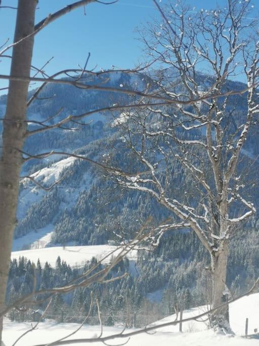 Sonnige ruhige Fewo Bergpanorama auf 1200m mit Süd Balkon