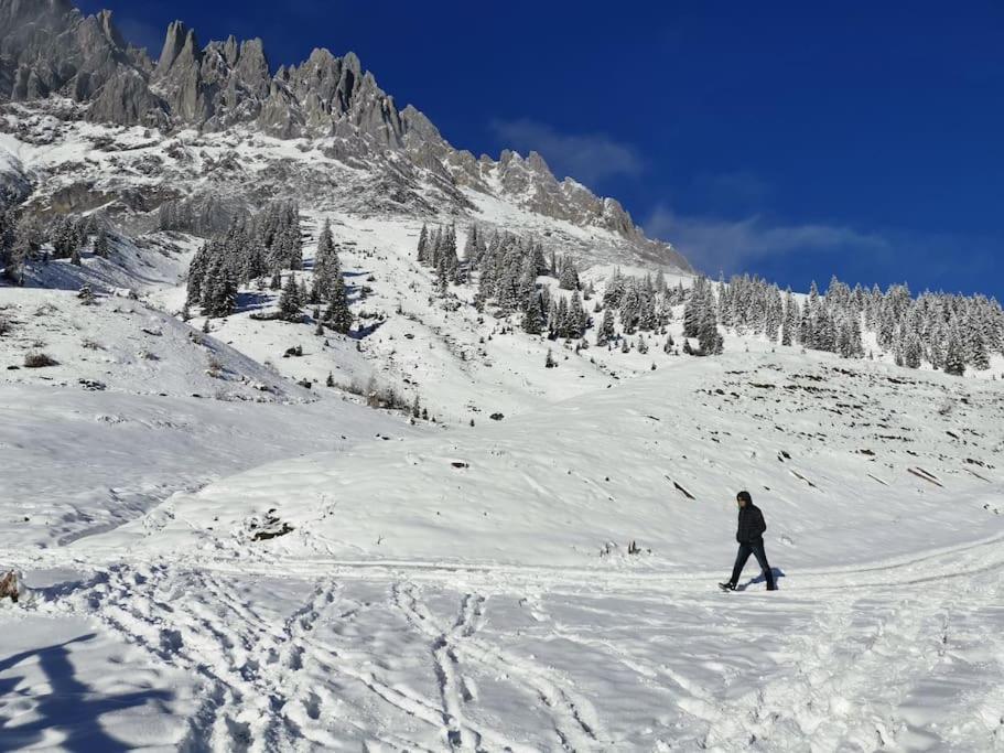Sonnige ruhige Fewo Bergpanorama auf 1200m mit Süd Balkon