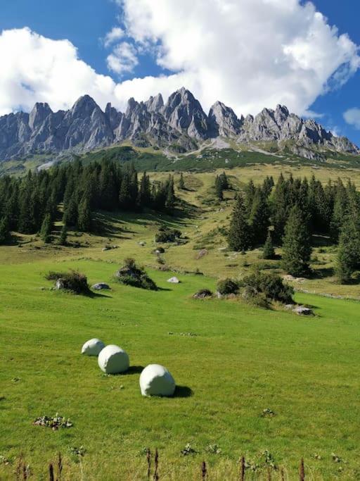 Sonnige ruhige Fewo Bergpanorama auf 1200m mit Süd Balkon