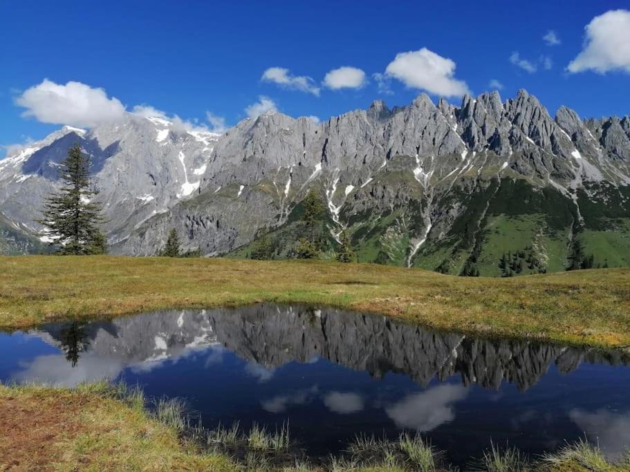 Sonnige ruhige Fewo Bergpanorama auf 1200m mit Süd Balkon