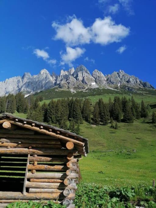 Sonnige ruhige Fewo Bergpanorama auf 1200m mit Süd Balkon