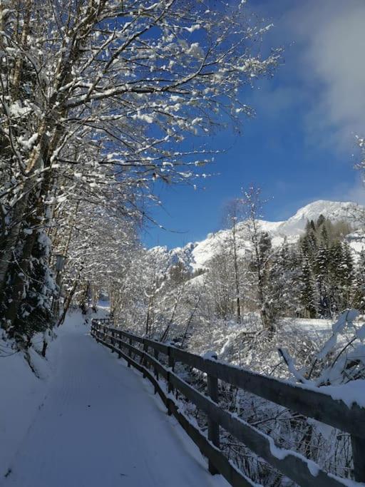 Sonnige ruhige Fewo Bergpanorama auf 1200m mit Süd Balkon