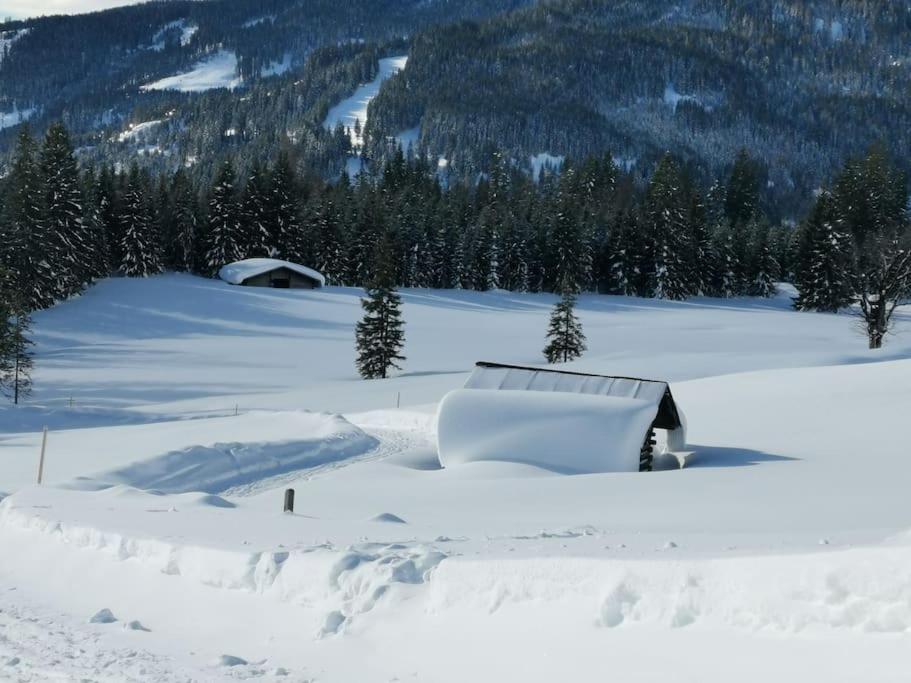 Sonnige ruhige Fewo Bergpanorama auf 1200m mit Süd Balkon