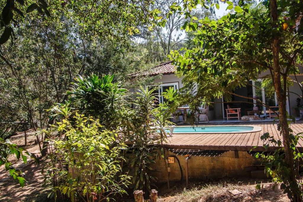 Canto dos pássaros