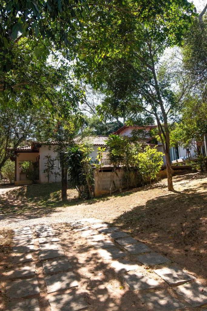 Canto dos pássaros